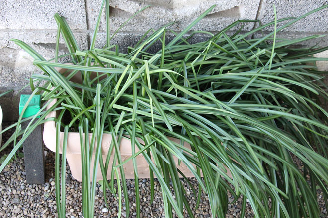 f:id:takahikonojima:20220109082334j:plain