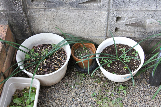 f:id:takahikonojima:20220110081219j:plain