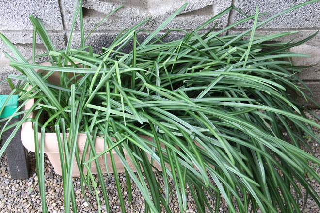 f:id:takahikonojima:20220110081223j:plain