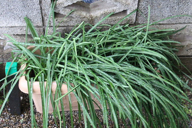 f:id:takahikonojima:20220111075300j:plain