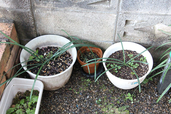 f:id:takahikonojima:20220112072015j:plain