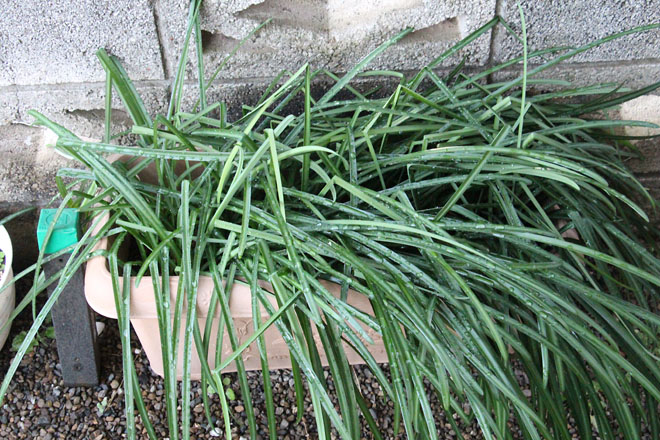 f:id:takahikonojima:20220112072019j:plain