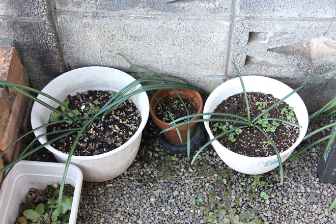 f:id:takahikonojima:20220113080213j:plain