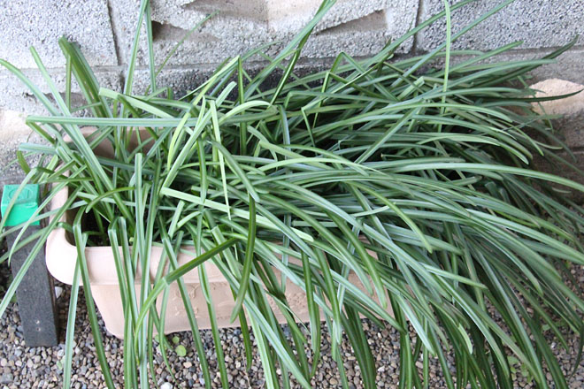 f:id:takahikonojima:20220113080217j:plain