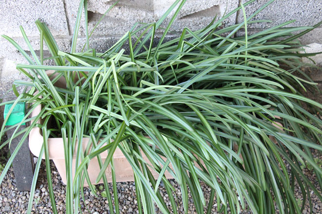 f:id:takahikonojima:20220114091347j:plain