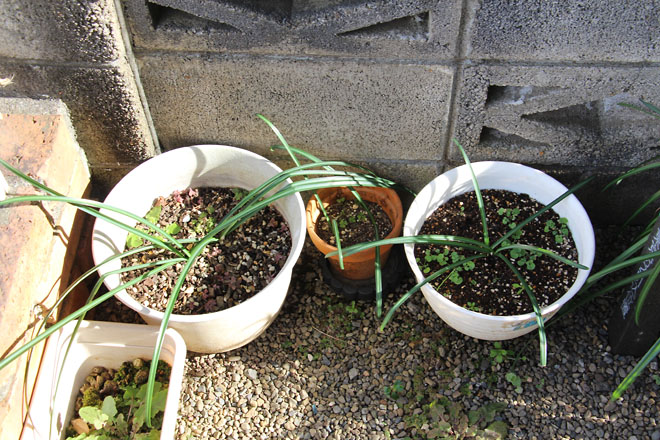 f:id:takahikonojima:20220115140214j:plain