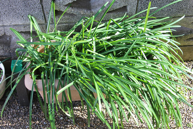 f:id:takahikonojima:20220115140217j:plain