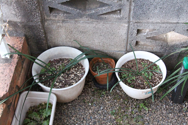 f:id:takahikonojima:20220123070220j:plain