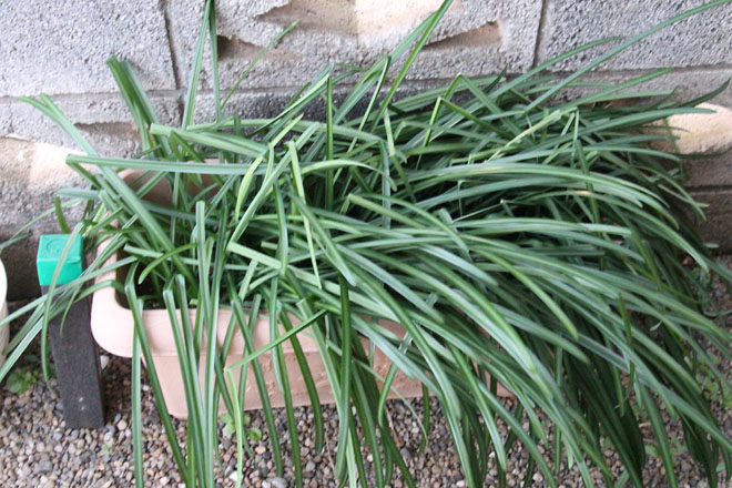 f:id:takahikonojima:20220123070225j:plain