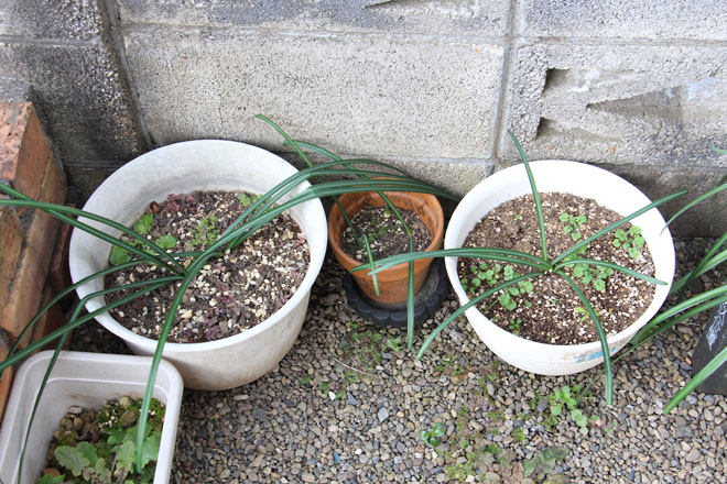 f:id:takahikonojima:20220124095103j:plain