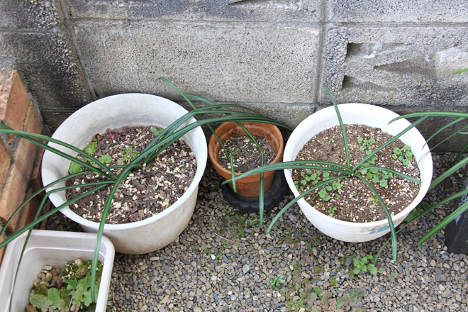 f:id:takahikonojima:20220125112639j:plain