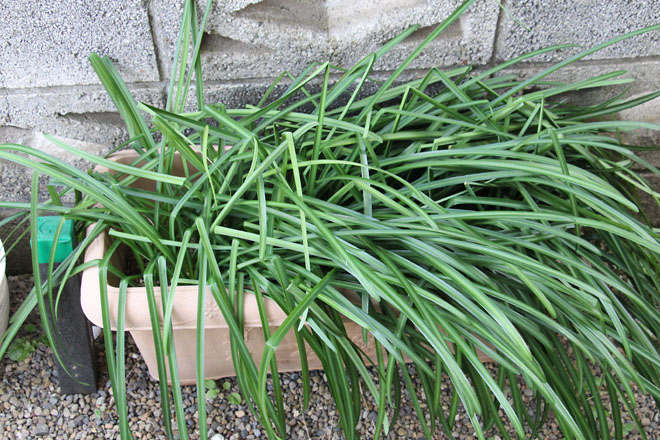 f:id:takahikonojima:20220125112641j:plain