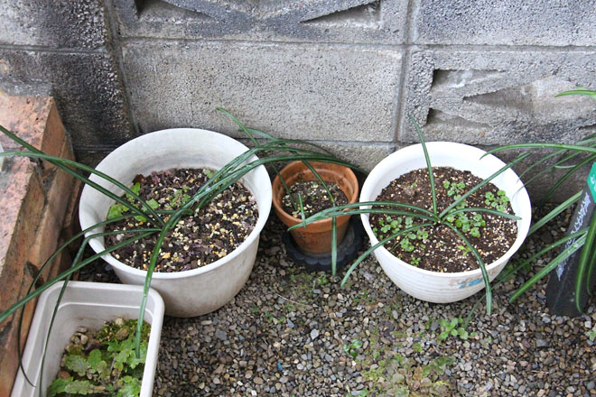 f:id:takahikonojima:20220126082521j:plain