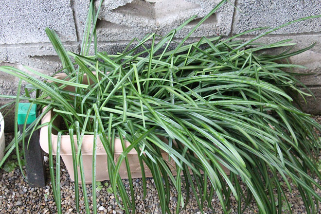 f:id:takahikonojima:20220126082525j:plain