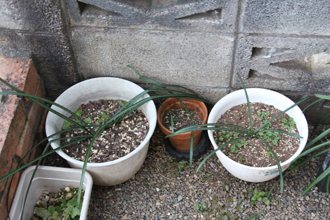 f:id:takahikonojima:20220128065803j:plain