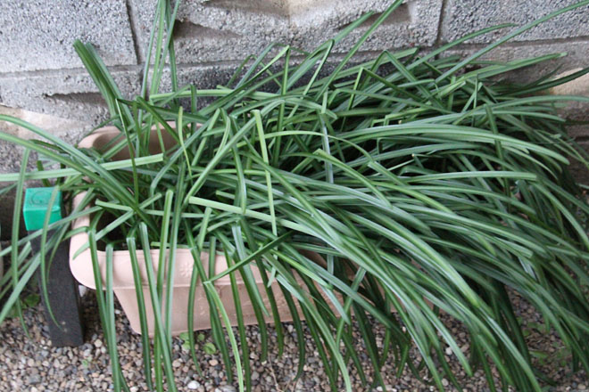 f:id:takahikonojima:20220128065807j:plain