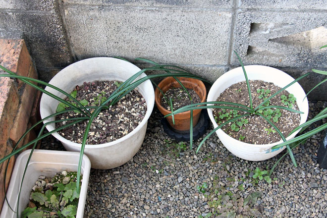 f:id:takahikonojima:20220130075426j:plain