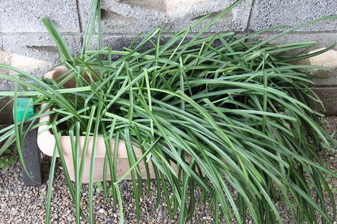 f:id:takahikonojima:20220130075429j:plain