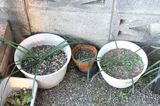 f:id:takahikonojima:20220131075157j:plain