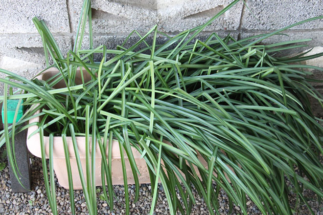 f:id:takahikonojima:20220131075200j:plain