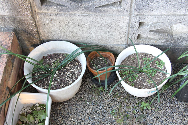 f:id:takahikonojima:20220201075849j:plain