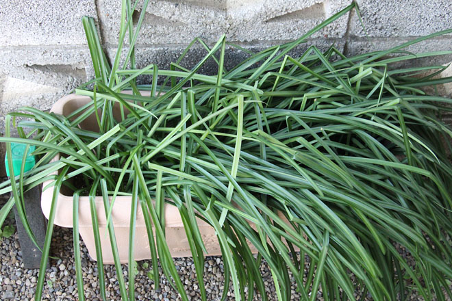 f:id:takahikonojima:20220201075853j:plain