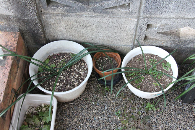 f:id:takahikonojima:20220202071533j:plain