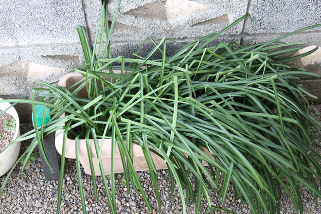 f:id:takahikonojima:20220202071537j:plain