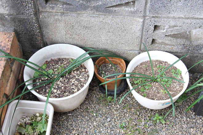 f:id:takahikonojima:20220204081034j:plain