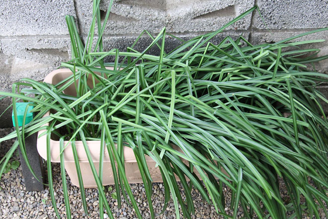 f:id:takahikonojima:20220204081037j:plain