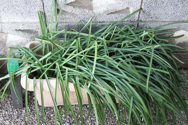 f:id:takahikonojima:20220205080230j:plain