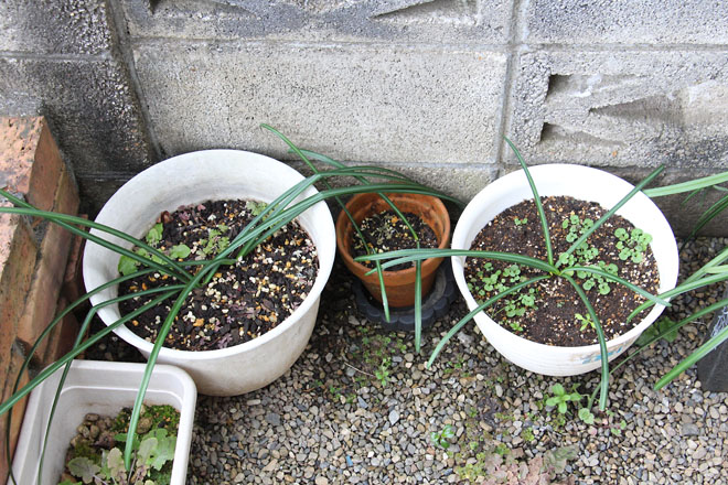 f:id:takahikonojima:20220213091413j:plain