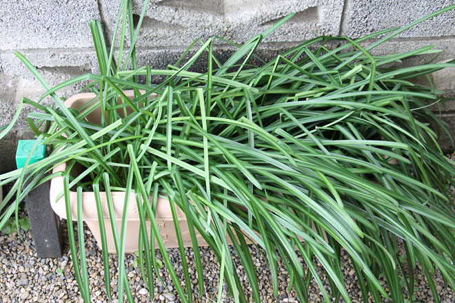 f:id:takahikonojima:20220213091416j:plain