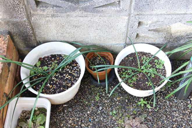 f:id:takahikonojima:20220215084408j:plain