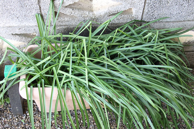 f:id:takahikonojima:20220215084411j:plain