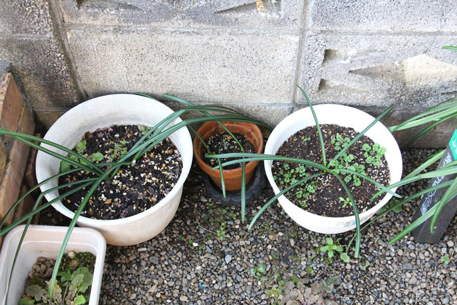 f:id:takahikonojima:20220216072031j:plain