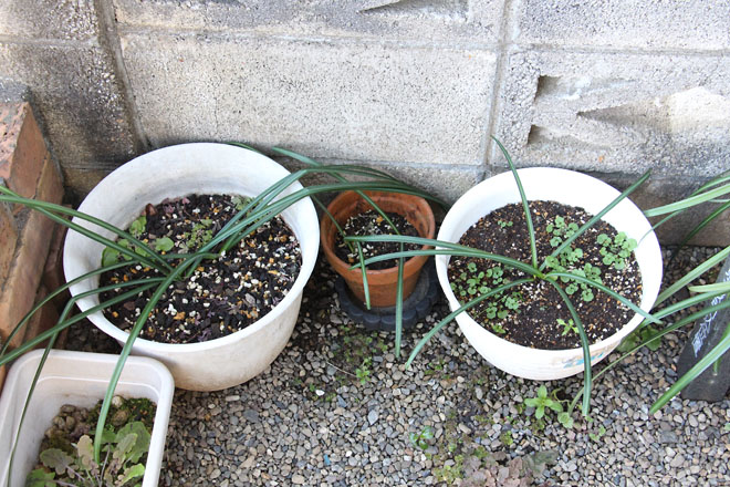 f:id:takahikonojima:20220217082821j:plain