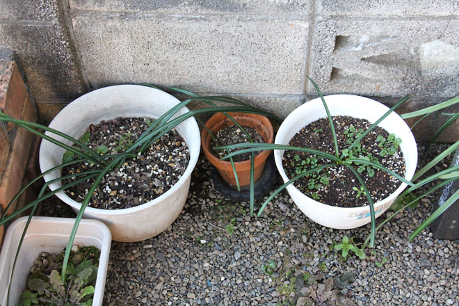 f:id:takahikonojima:20220218070930j:plain