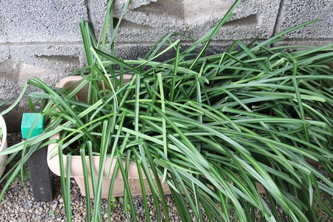 f:id:takahikonojima:20220219074222j:plain