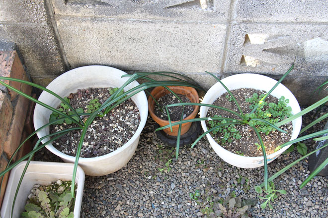 f:id:takahikonojima:20220306073619j:plain