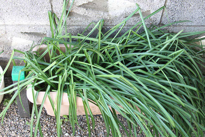 f:id:takahikonojima:20220306073623j:plain