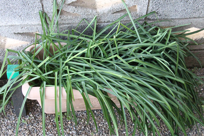 f:id:takahikonojima:20220307063511j:plain