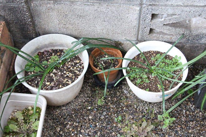 f:id:takahikonojima:20220308070831j:plain