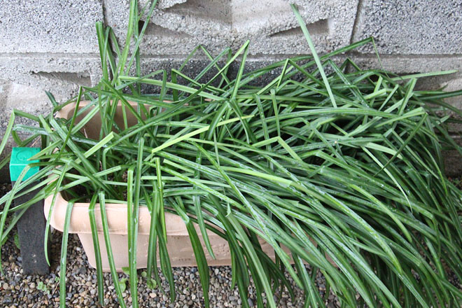 f:id:takahikonojima:20220308070834j:plain