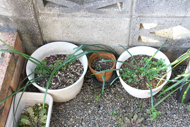 f:id:takahikonojima:20220309072515j:plain