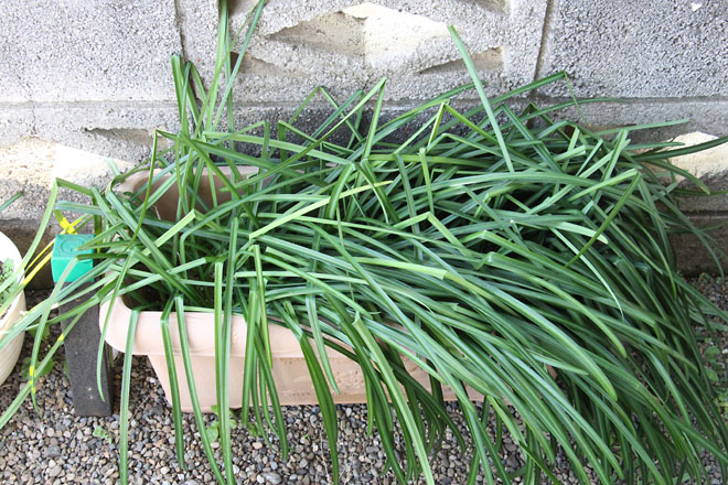 f:id:takahikonojima:20220309072518j:plain