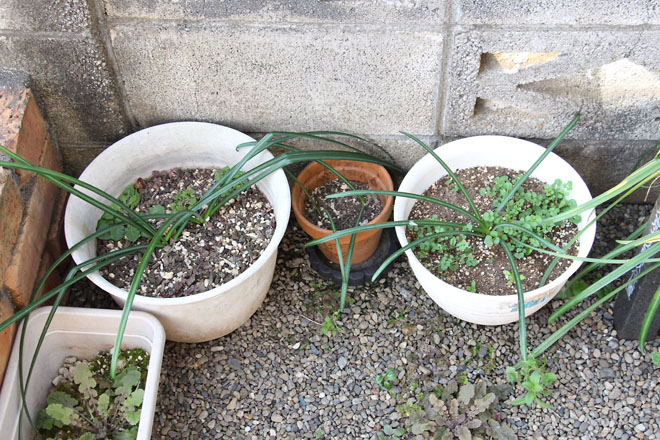 f:id:takahikonojima:20220310065721j:plain