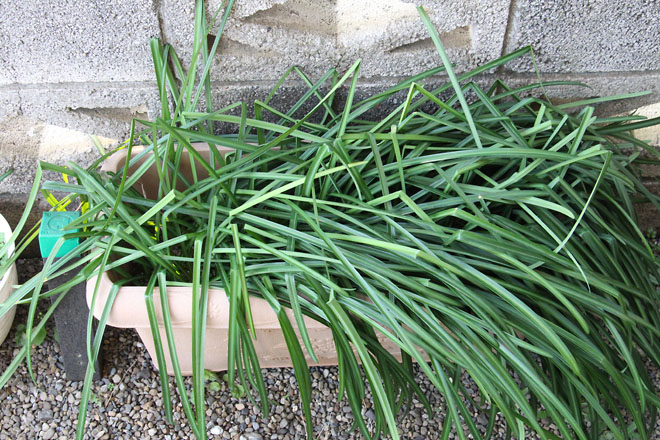 f:id:takahikonojima:20220310065724j:plain