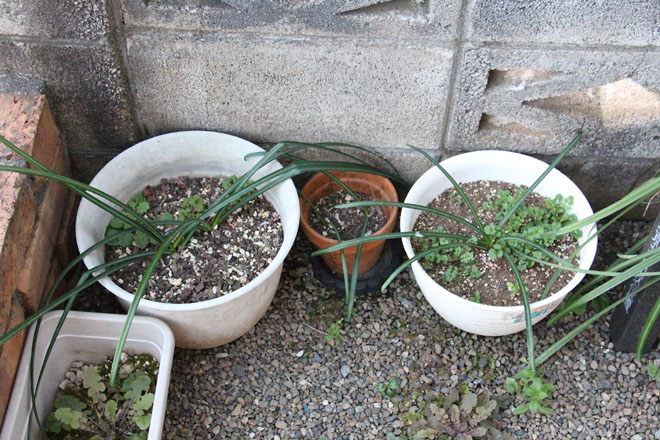 f:id:takahikonojima:20220311063040j:plain