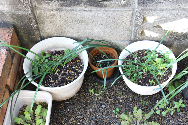 f:id:takahikonojima:20220320073642j:plain